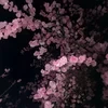 Yuka_moon