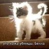 ЗолотаяМалина