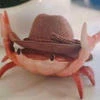 Illyuzory_Crab