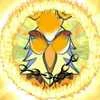 Fenix5fire