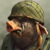 Battle_S.W.I.N.E.