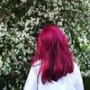 ___Sakura___youth___