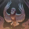 OwlElegant
