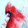 Juno Red Bird