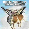Дота Тинкер гайд на пуджа 2011