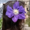 Эмма в стране гиперфиксаций