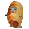 Cociska_v_teste