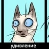 Стремный_тапочек