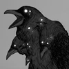 Dark Rook