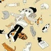 Crazy Catt