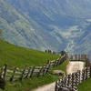 Honeymoon_7