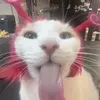 putupchik