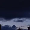 Скелетик Крент