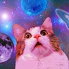 Котенок Эрл