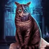 Киберкотик_9002
