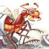 helldogtiapa