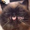 Lipsmifack