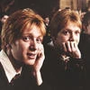 Fred_Weasley_Is_My_Love