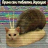 мышь гашиш