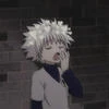 Sengi