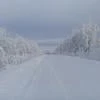 Valeri_336
