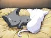 Kuroshiro