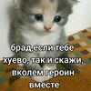 PUPCIC