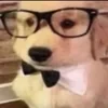 дёрн