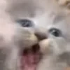 V2TR