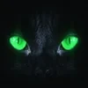 Недо-фанфикер