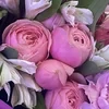 Coeli_lum