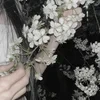 Lolita_ff69