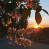 Katelyn__Zakharoff