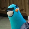 фйцыячвукас