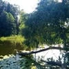 _nepereletnaya_