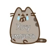 Xlebarik