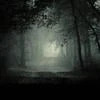 black.mist