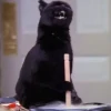 злой_коте