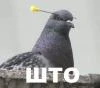 Пустое место