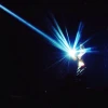 Night_Nightingale