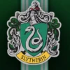 HiddenSage1775