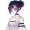 Crokie