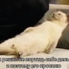 Биолог с кренделем