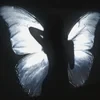 nebulous phantom