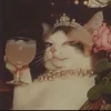 catsi_nyx