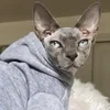 Sphinx_09