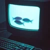 pidarasik666