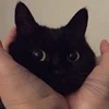 Мать сатаны