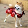 Миксис