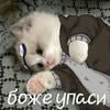 Mikyrini.comendi